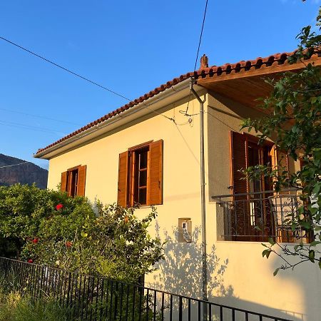 Вилла Lemon Tree House Леонидион Экстерьер фото