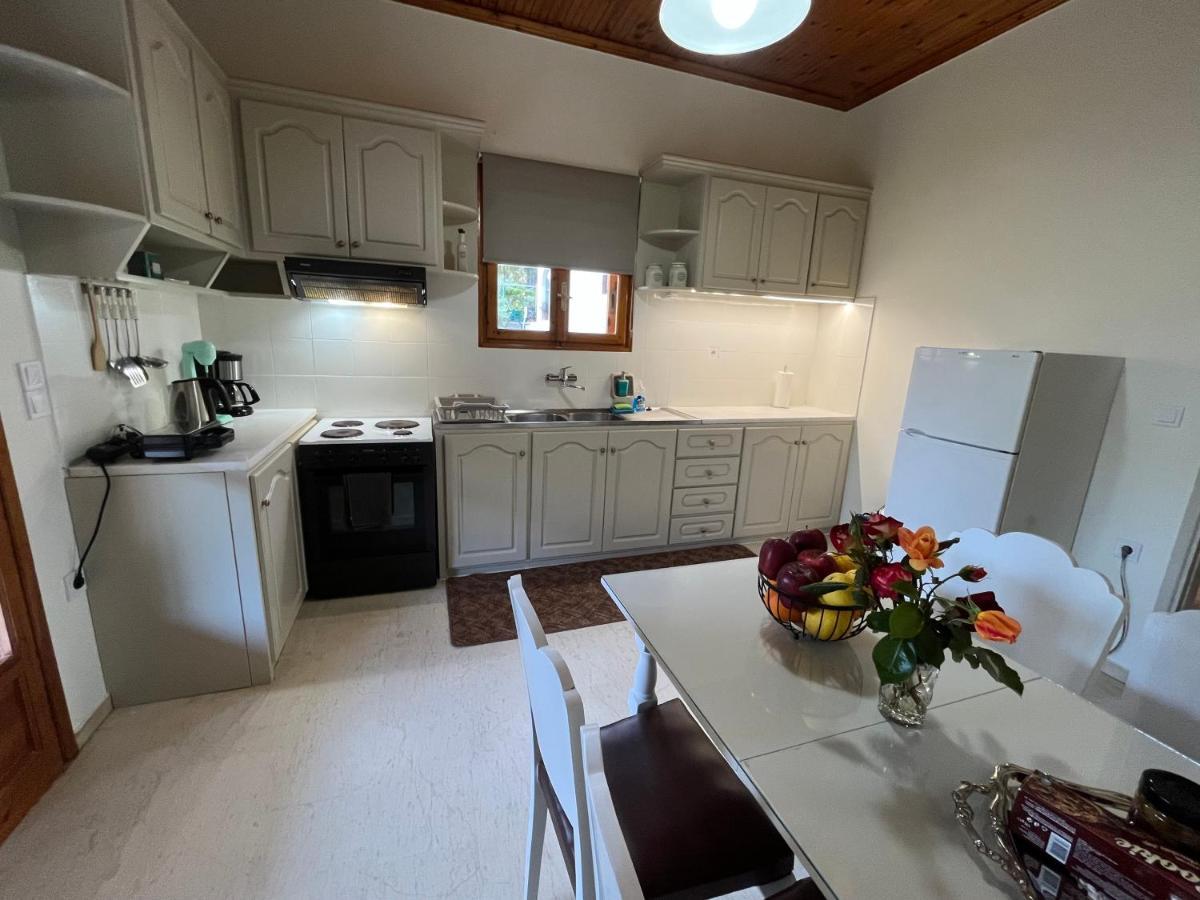 Вилла Lemon Tree House Леонидион Экстерьер фото
